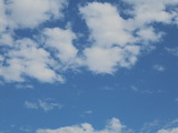 DSC03217