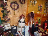 DSC00575