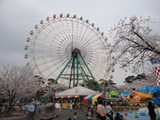 DSC00711