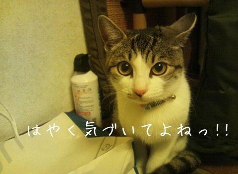 20130130-003.jpg