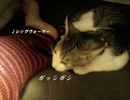278a455d.jpg