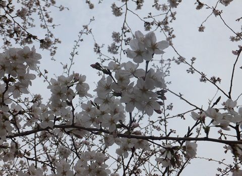 20130321-007.jpg