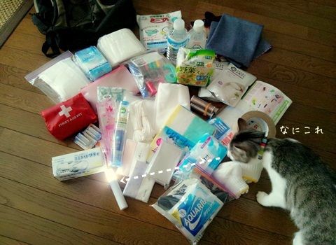 20130628-002.jpg