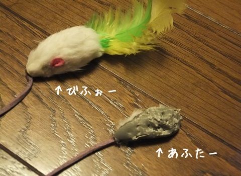 20140814-004.jpg