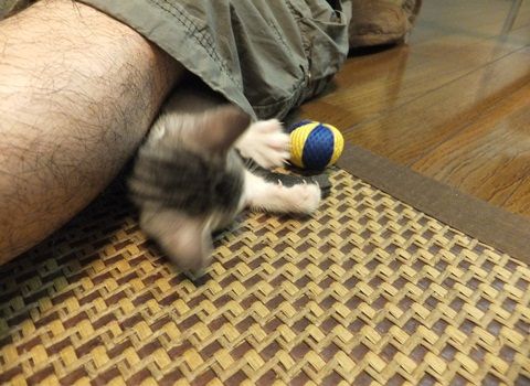 20130711-007.jpg