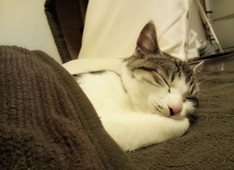 20130711-014.jpg