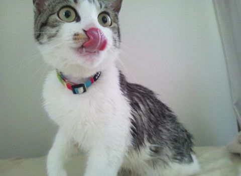 20130513-003.jpg