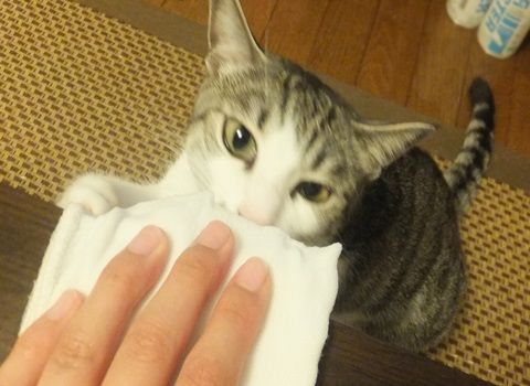 20130828-001.jpg