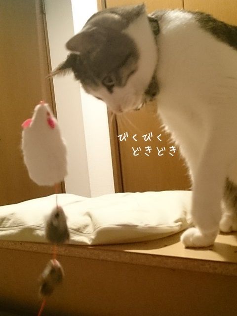 20160123-002