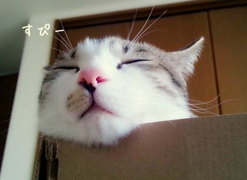 20130628-001.jpg