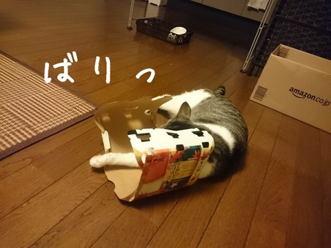 20151008-004