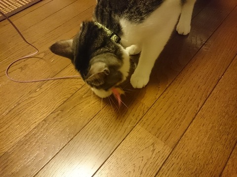 20150924-001