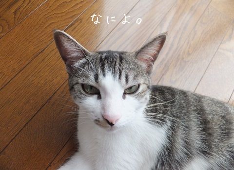 20130902-003.jpg