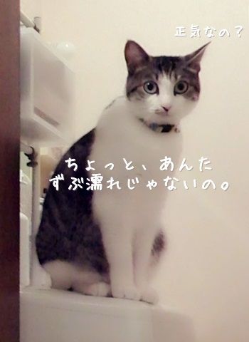 20141218-001
