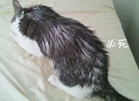 20130513-002.jpg