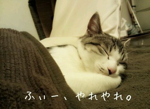 20130121-002.jpg