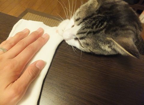 20130828-003.jpg