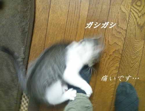 d7fd1d92.jpg