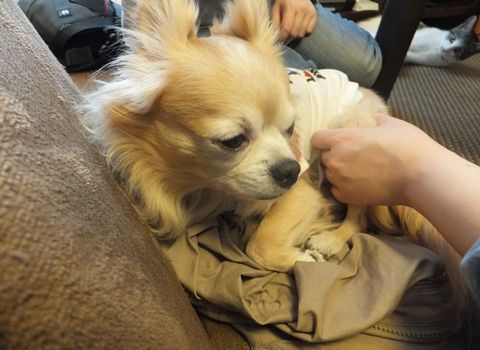 20130321-006.jpg