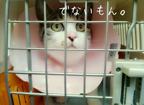 20130121-001.jpg