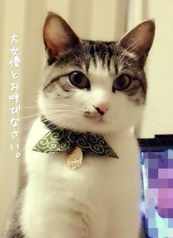 20141120-002.jpg