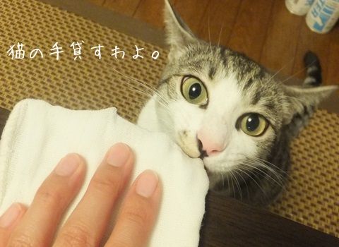 20130828-002.jpg