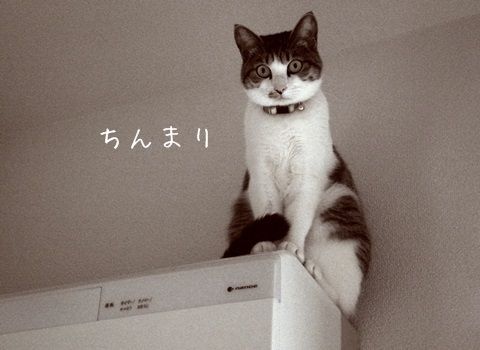 20131205-004.jpg