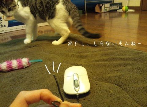 20130711-010.jpg