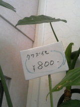6b567618.JPG
