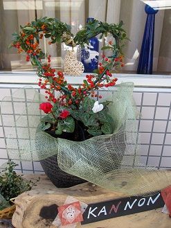 IMG_0711s