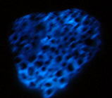 8127b321.jpg