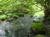 03cd0528.jpg