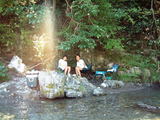 36d5c081.jpg