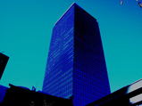 850081d8.jpg