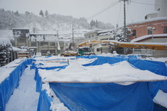 DSC04486