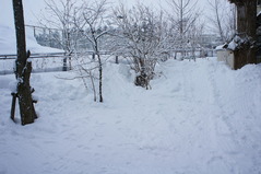 DSC04256