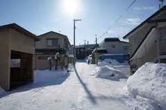 DSC04335