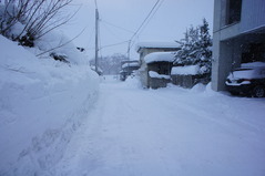 DSC04313