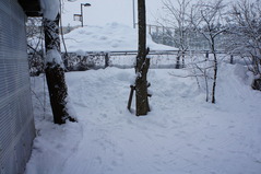 DSC04257