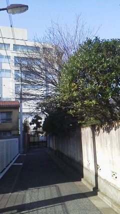 実家1