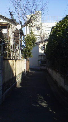 実家2