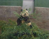 8d70271a.jpg