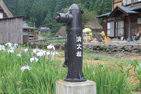 IMG_5845_R