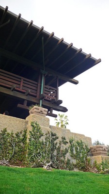 gamble_image1