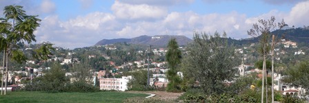 hollywood
