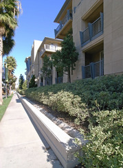 street_view