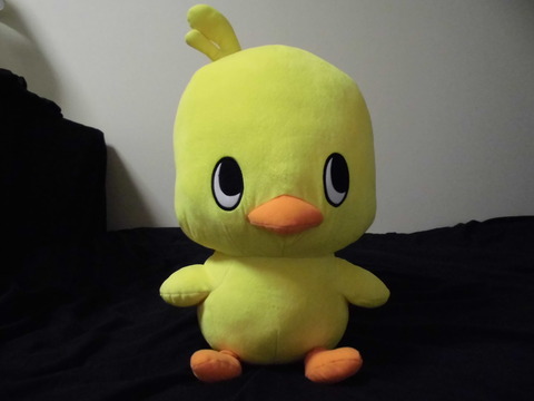 CIMG0085