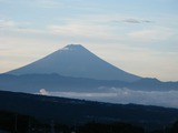 f4adf428.jpg