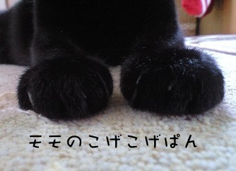 くろぱん 071015-2