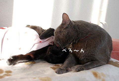 べろ〜ん